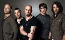 daughtry band