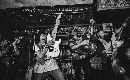 the bites band from u.s.a